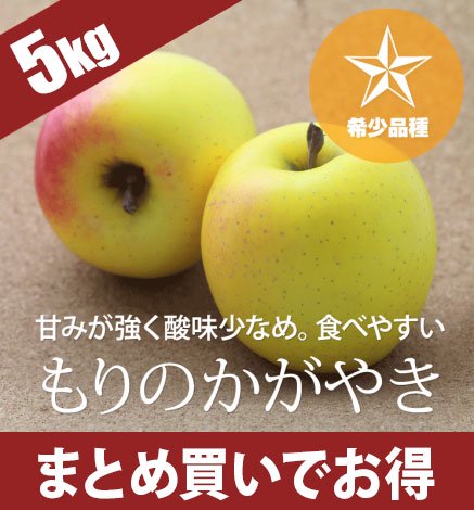 青森りんご もりのかがやき 5kg（12〜20個）希少品種 