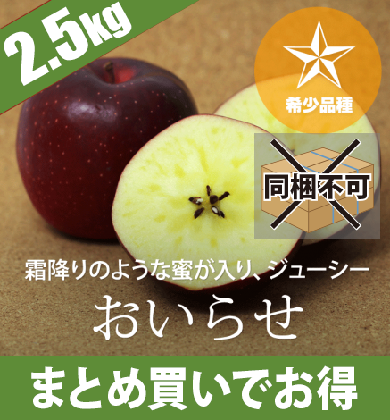 【予約中】青森りんご おいらせ 2.5kg（6〜10個）希少品種：10月下旬〜11月上旬より出荷