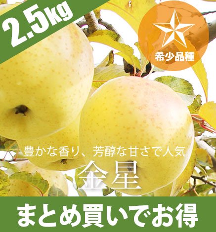 希少品種】青森りんご 金星 2.5kg 産地直送・通販 RED APPLE(レッド