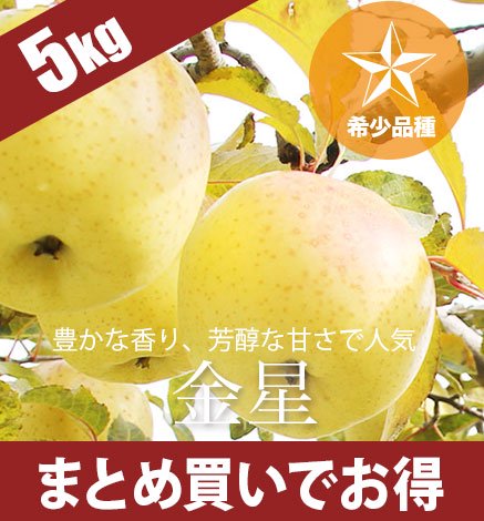 【11月下旬〜：希少品種】青森りんご 金星 5kg（12〜20個）