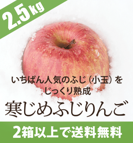 青森りんご 寒じめふじりんご 産地直送 通販 Red Apple レッドアップル 赤石農園