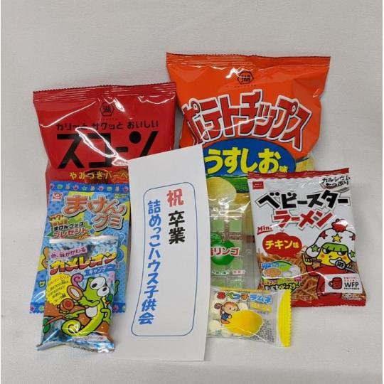 【子供用】子供会用菓子詰合せ300円C