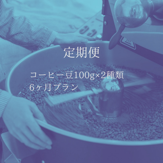 定期便  ［コーヒー豆100g×2種類　6ヶ月プラン］