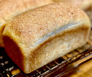キッチン酵母のプレーン食パン 1.0斤×2本【夏期休止】