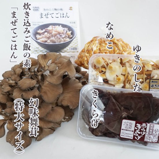 バラエティキノコセット[ 1 ]（幻味舞茸特大サイズ） - 矢部きのこ園～愛別町から舞茸、なめこ、椎茸、生きくらげ通販