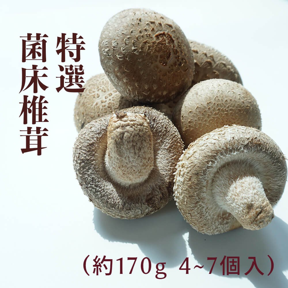 特選　菌床椎茸　の商品画像