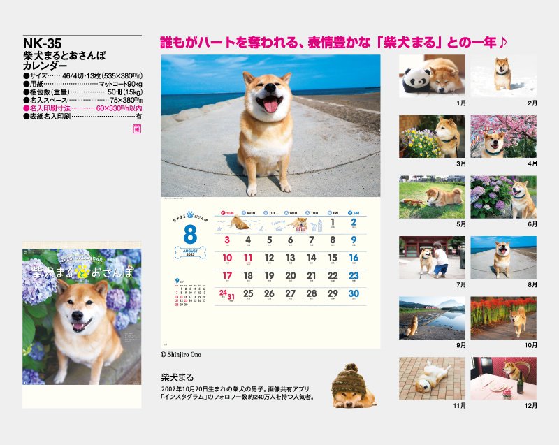 2023年 仔犬カレンダー 柴犬 関由香(30角) 1000123659 - その他趣味