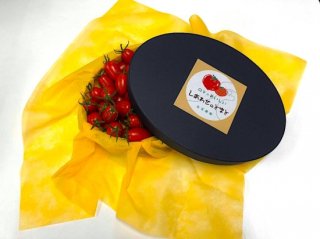 ≪ギフトセット≫高糖度しあわせのトマト　贈答用にもおすすめ！
