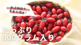 㥮եȥåȢ٤碌Υȥޥȡ£Ѥˤ⤪ᡪ
