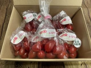 Ծʬ140g7ޡչ٤碌ΥȥޥȡʬˤԤäꡪ