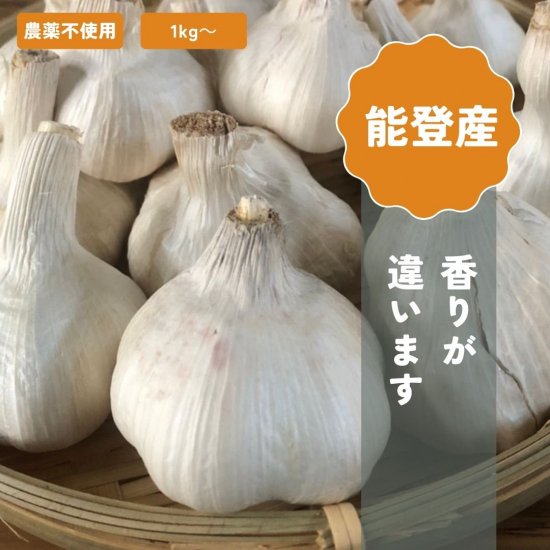 1kg】能登産無農薬にんにく | 会宝農園 - 会宝農園