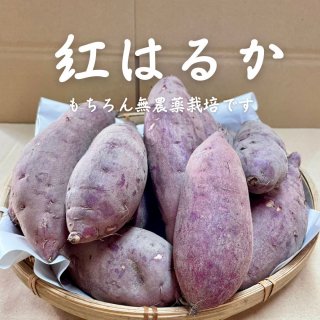 1kgۤĤޤֹȤϤ뤫ס極3