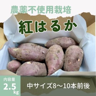 2.5kgۤĤޤֹȤϤ뤫ס極810