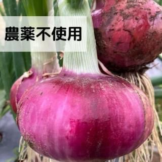 8kgǽл̤ͤäޤǿС䤫̤̤ͤ
