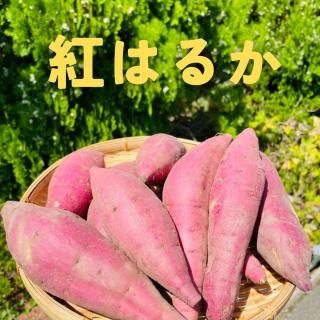 ĤޤֹȤϤ뤫/3kg1,900ߡˡ