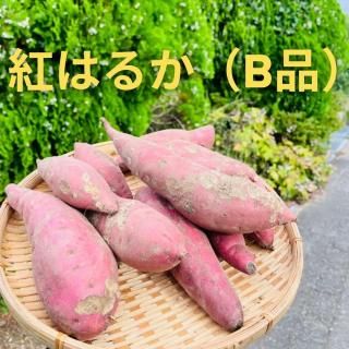 BʡۤĤޤֹȤϤ뤫/3kg1,200ߡˡ