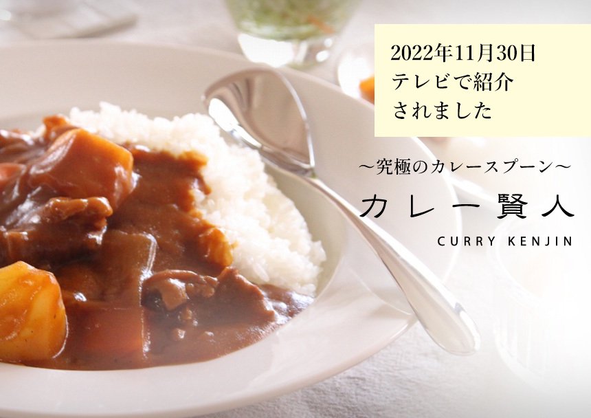 究極のカレースプーン カレー賢人 curry kenjin