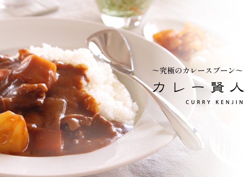 究極のカレースプーン カレー賢人 curry kenjin