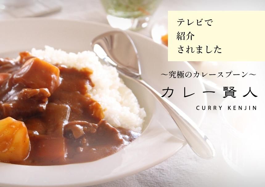 ˤΥ졼ס 졼 curry kenjin
