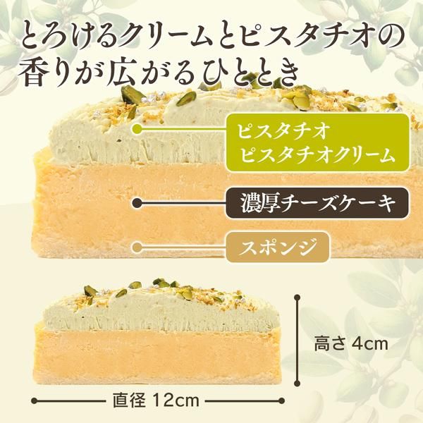 マイスイーツカード ピスタチオのスポンジケーキ マイスイーツカード ピスタチオのスポンジケーキ