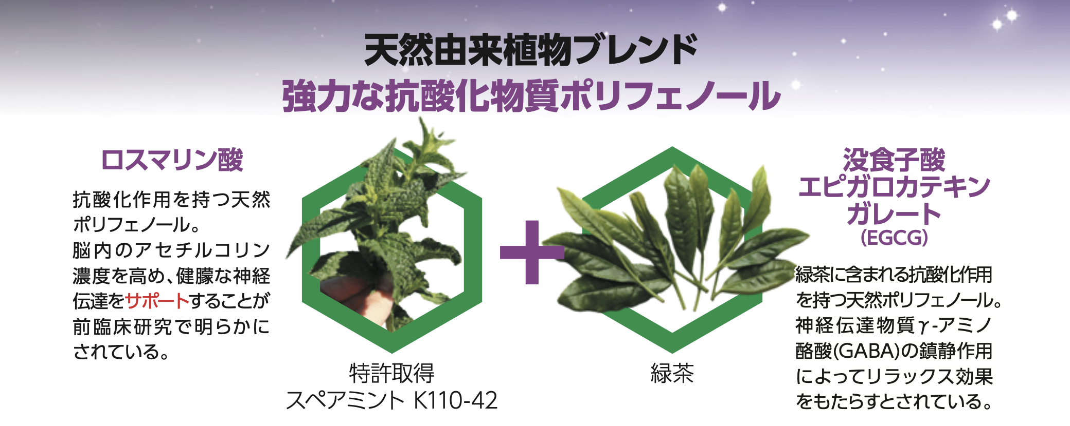 緑茶に含まれる「エピガロカテキンガレート(EGCG)」は、自然由来のカテキン成分のひとつです。日本でも古くから親しまれている緑茶の特長を活かし、生活に取り入れやすい形で配合しています。