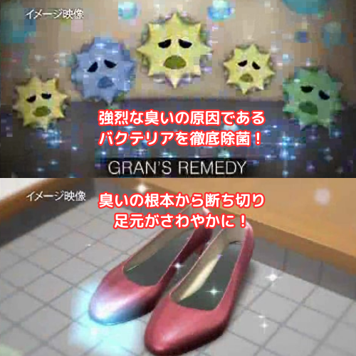 バクテリアを除菌