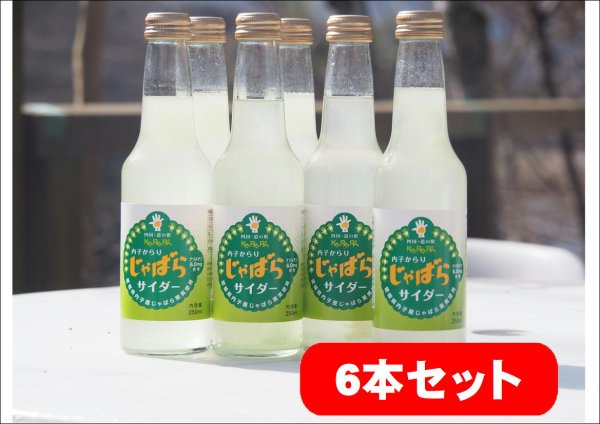 花粉対策！ ジャバラ果汁100 110ml 5本入 - その他