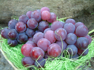 内子の葡萄（3〜4房入り）