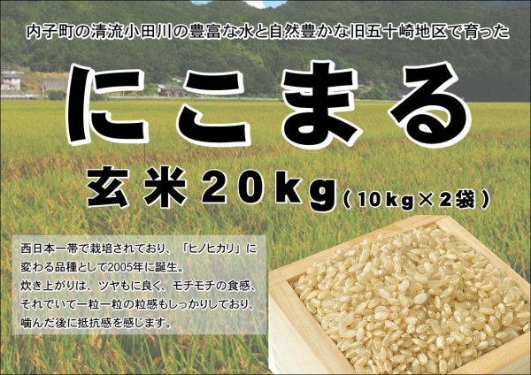 今月までの大容量特価！令和5年収穫 にこまる 玄米 約25kg箱はございません