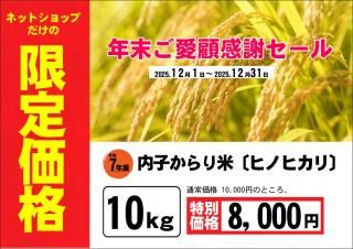 ǯܴե롪ڥ̲800/ۡҤ 7ǯҥΥҥꡡ10ԡ5kg2ޡ