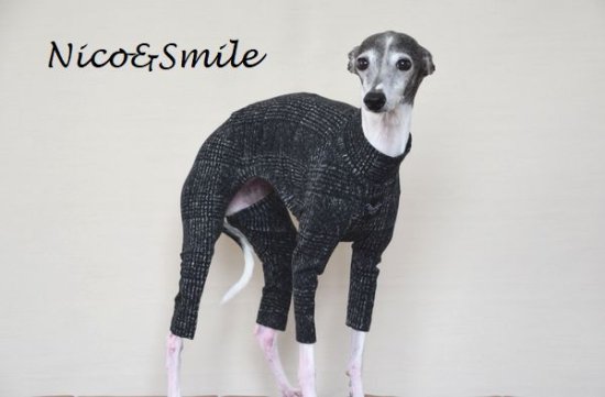 イタグレ服 人気のセミオーダー犬服 かわいいハンドメイド犬服通販専門 