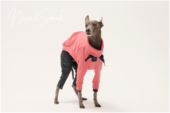 イタグレ服 人気のセミオーダー犬服 かわいい犬服通販専門店