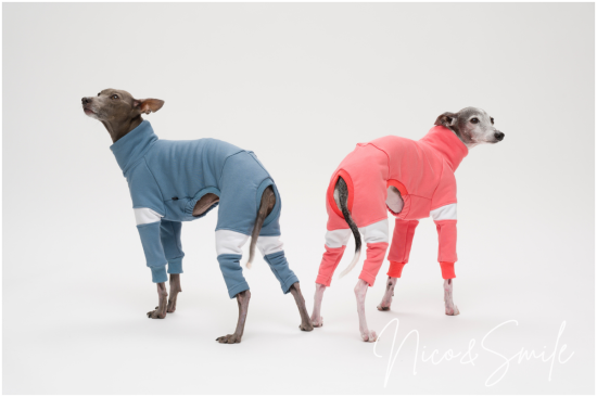 kappamakimaki　イタグレ服　ハンドメイド イタグレ服 人気のセミオーダー犬服 かわいい犬服通販専門店