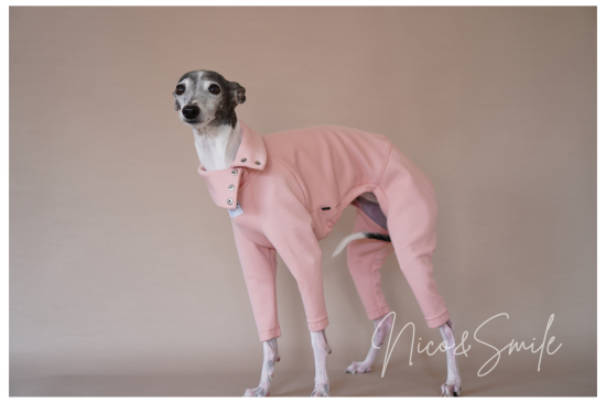 イタグレ服 人気のセミオーダー犬服 かわいい犬服通販専門店 イタグレ服 人気のセミオーダー犬服 かわいい犬服通販専門店