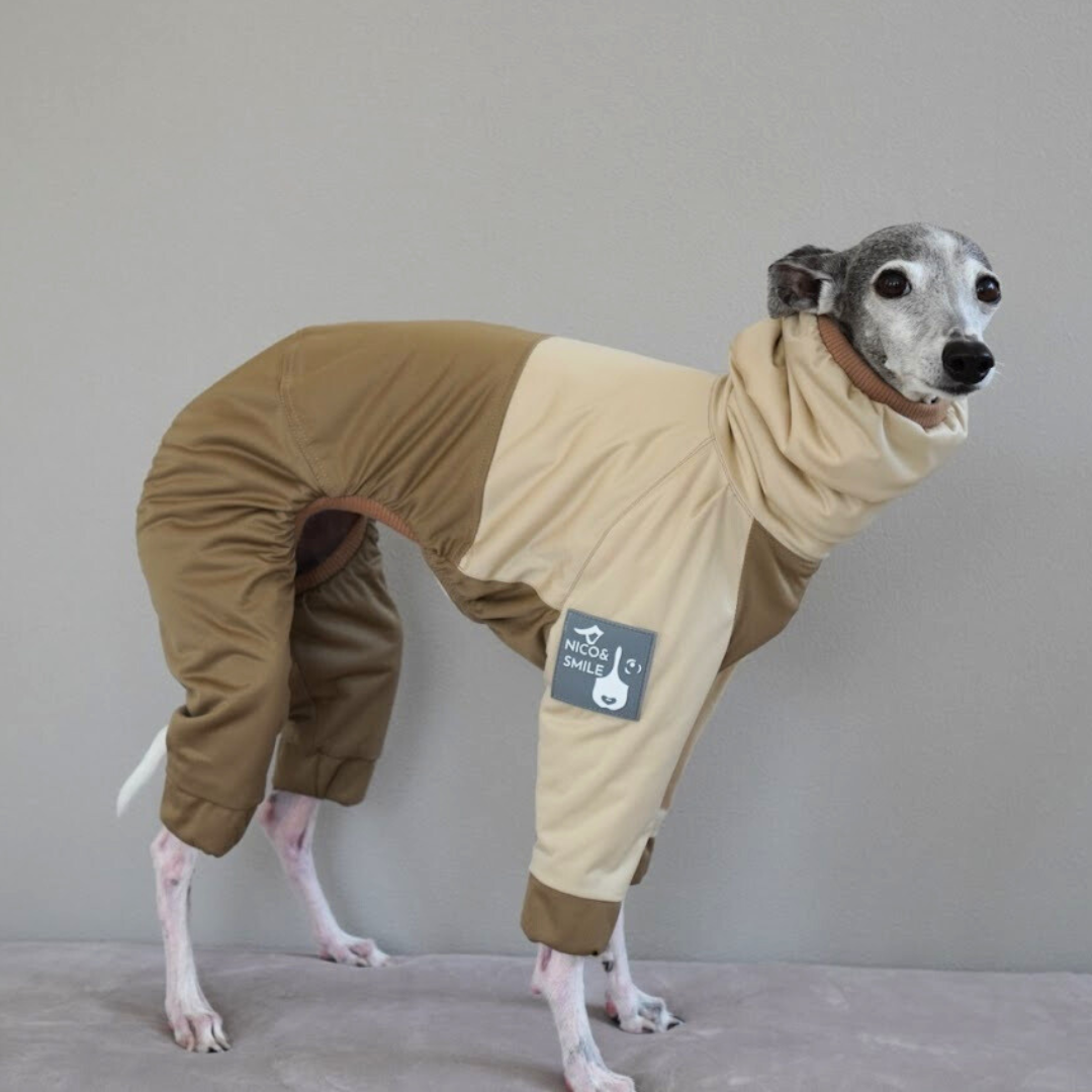 pao イタグレ服　ハンドメイド　ミニピン服 イタグレ・ミニピン服 人気のセミオーダー犬服 かわいい犬服通販