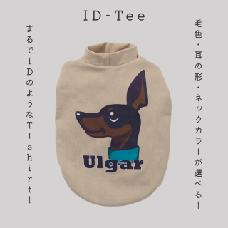 ڼID-Teeʥɥ١