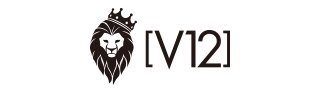 V12