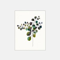 Sarah Martinez / Little Leaves W216×H280mm