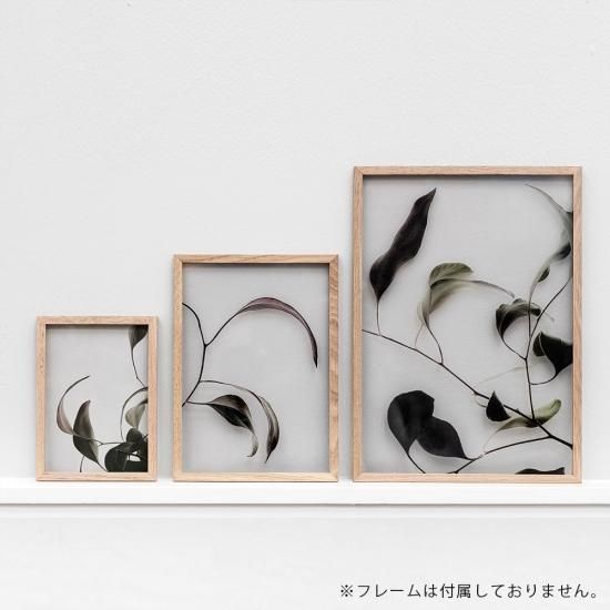 ムーベフレーム・ペーパーコレクティブセット Paper Collective / Floating Leaves 03 A4(Clear)