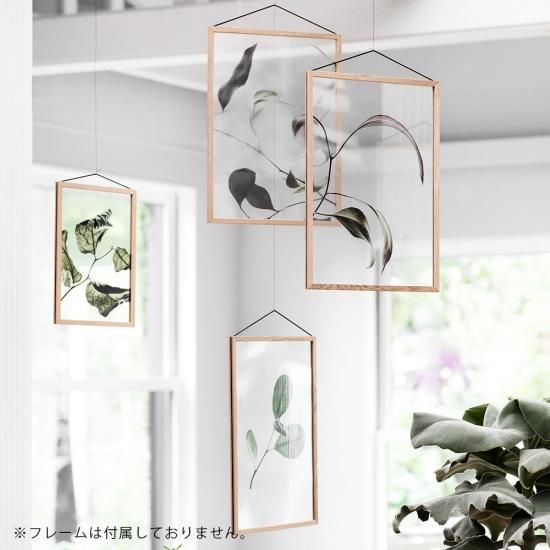 ムーベフレーム・ペーパーコレクティブセット Paper Collective / Floating Leaves 03 A4(Clear)