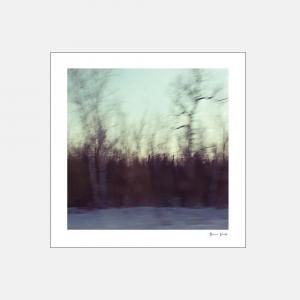 Alicia Bock Photography<br>Shadowland 254254mm