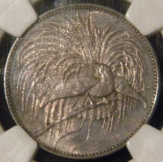 1894A ドイツ領ニューギニア 10ペニヒ 銅貨 NGC アンティーク コイン 