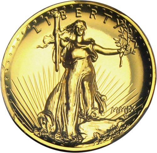 超歓迎された ファーストスパウズ アメリカ 2009年 10ドル アンナ 金貨 金製