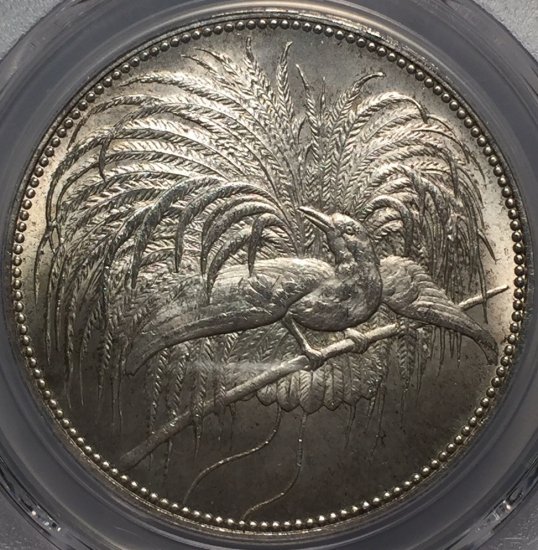 ドイツ領ニューギニア 1894A 極楽鳥 ５マルク 銀貨 PCGS MS64