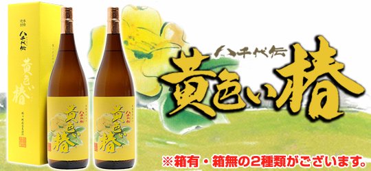 八千代伝酒造 黄色い椿