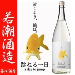躍る一日 《麦焼酎》 おどるいちにち 30度 1800ml 若潮酒造