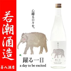 跳ねる一日 《スピリッツ》 デメハイ 27度 720ml 若潮酒造｜焼酎のことなら薩摩焼酎 善八酒店